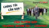 TRƯỞNG NHÓM SEO - CONTENT